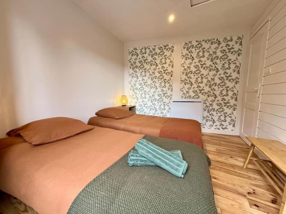 Maison Hyper Centre Ville - 4 Pers - 2 Places De Parking Gratuites 坎佩尔 外观 照片
